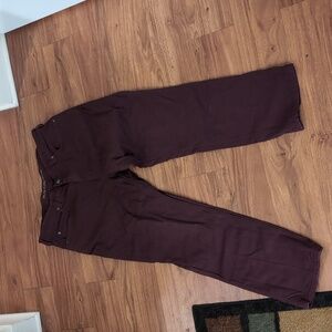 Duluth Men's Firehose pants
